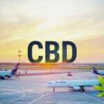 Travelling with CBD: Can I Fly with CBD Oil?